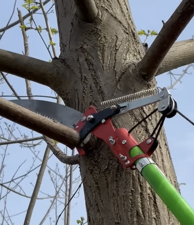 Tree trimming and pruning with pole saw equipment