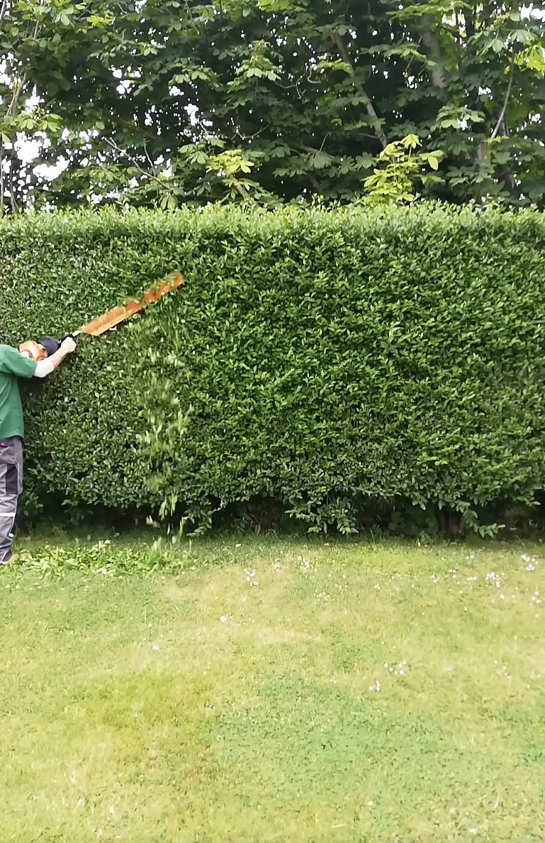 Professional hedge trimming service for residential properties