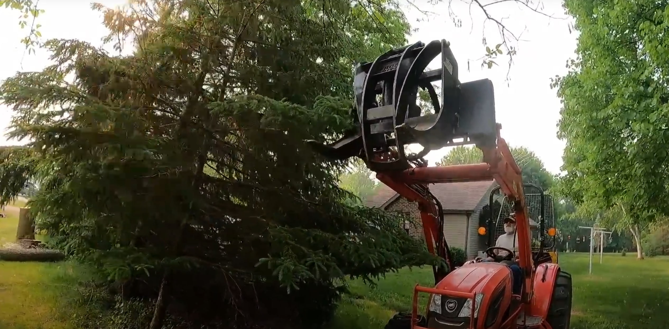 Crane-assisted tree removal for hazardous trees in League City